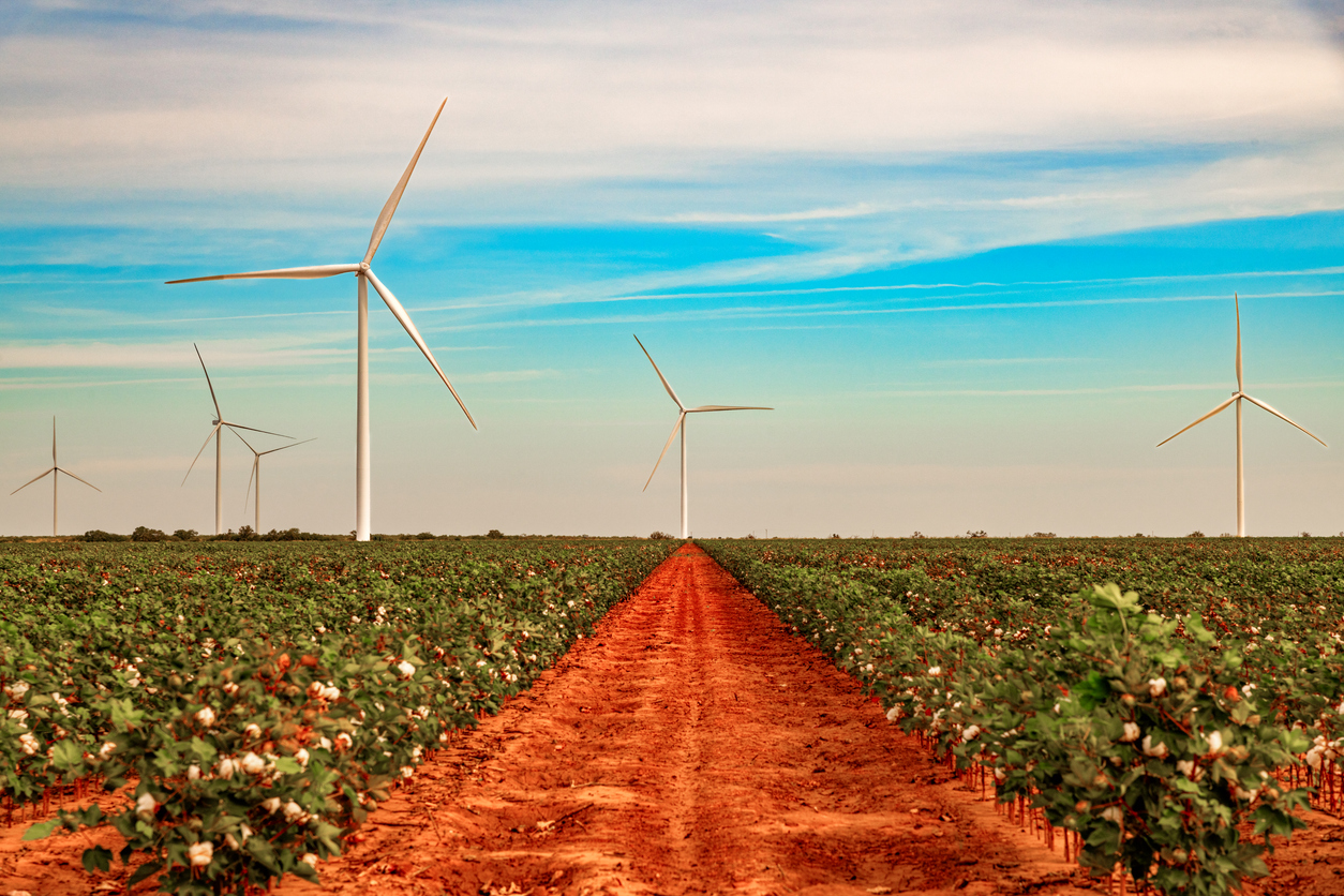 Panoramic Image of Lubbock, TX